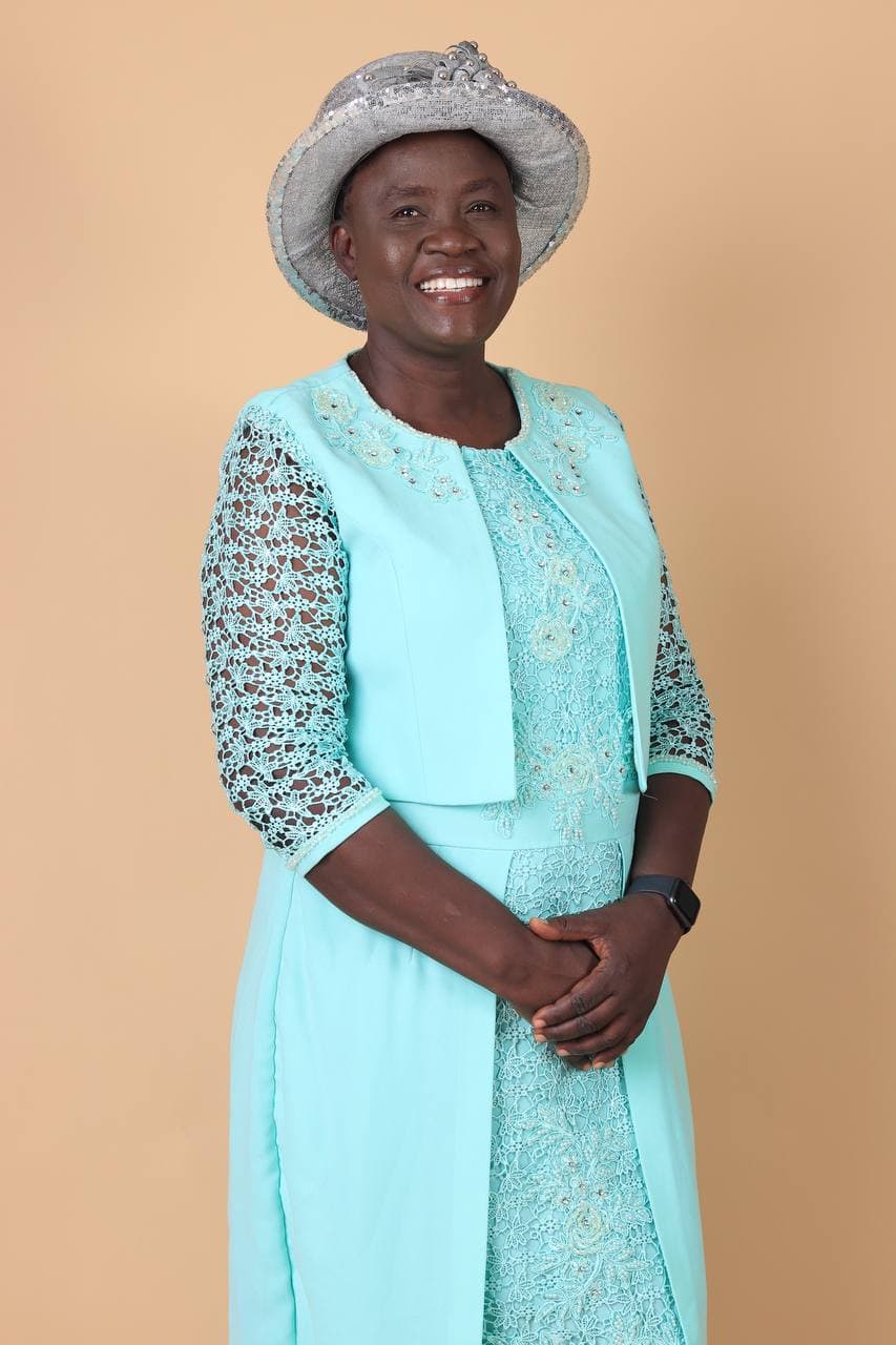 Customer profile user interface